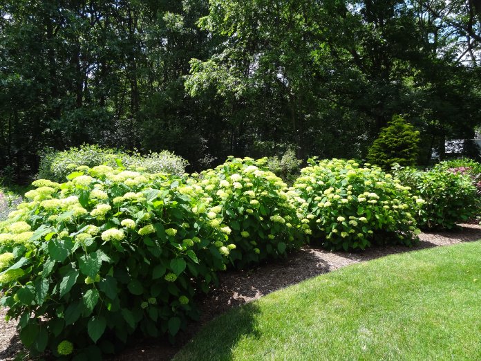 Contact Marcello Lawn & Landscaping, Inc. East Greenwich, RI